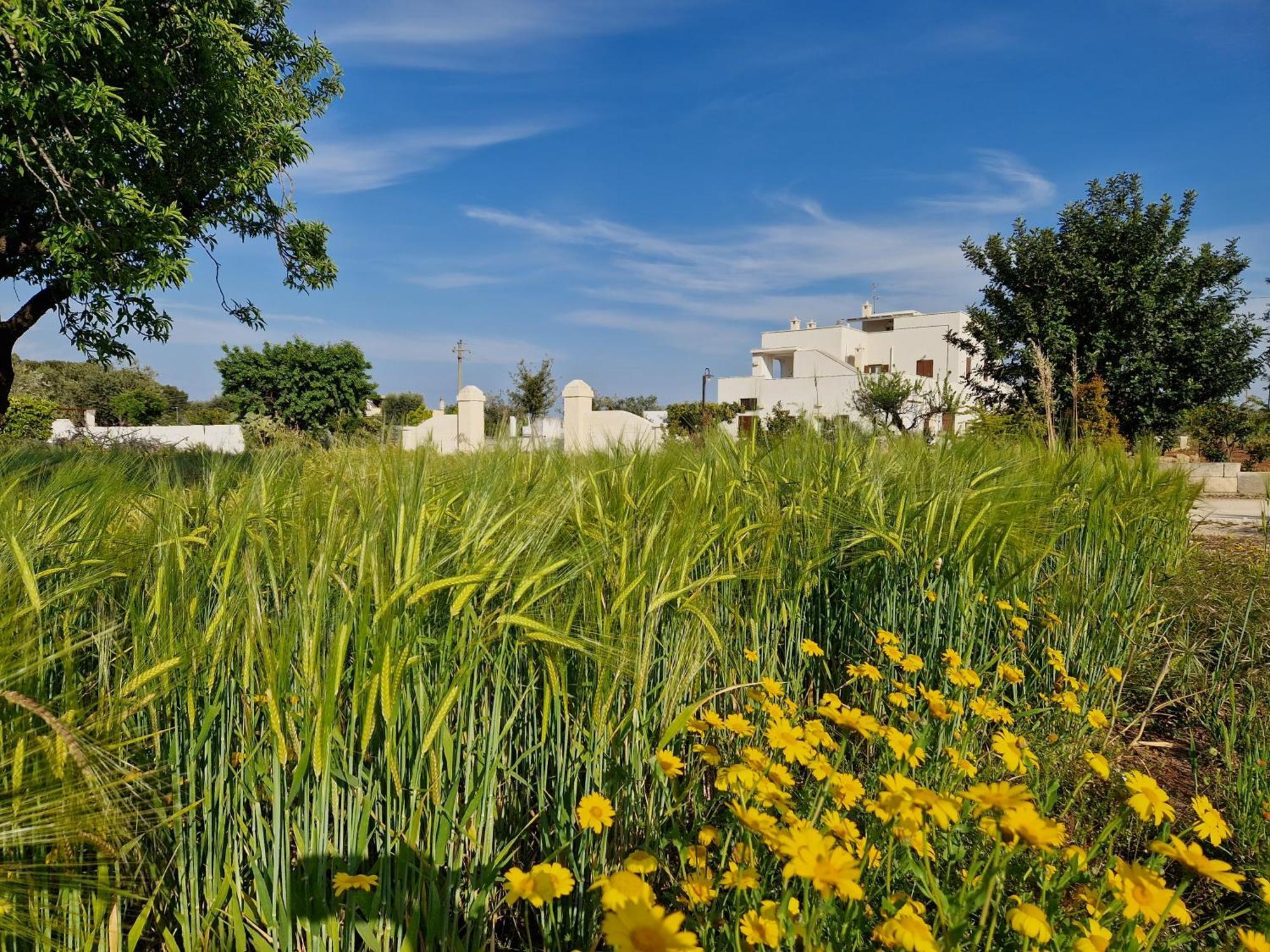 Residenza "I Tre Carrubi " Villa Fasano Exteriör bild